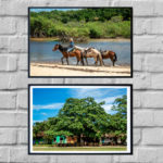 Wall Art print - Horse Riding in in Bahia Brasil - Bahia Brasil - By Bruna Balodis Photography
