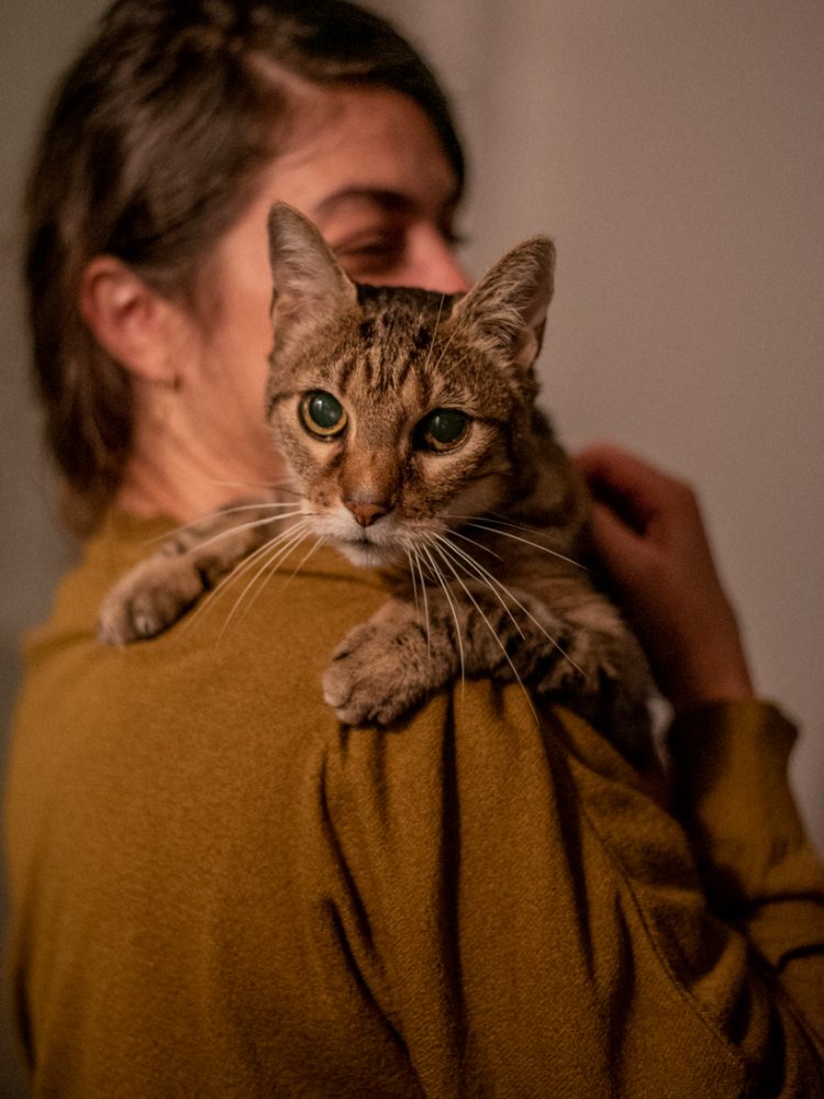 Photo of a cat and its owner having a loving moment at home in Dulwish South London by Bruna Balodis photography